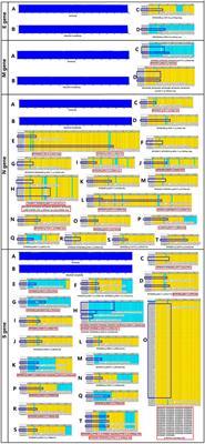 Structural Genomic Analysis of SARS-CoV-2 and Other Coronaviruses